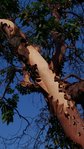 20180729_172044-580x1031.jpg