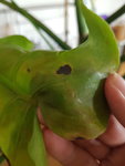 20180801_142134.jpg