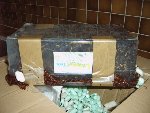 IMG00010 (Copier).JPG