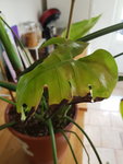 20180801_142607.jpg