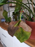 20180801_142614.jpg
