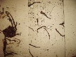 IMG00012 (Copier).JPG