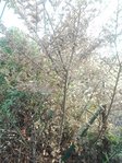 PART_1533224911643.jpg
