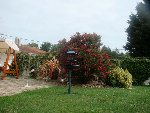 DSC00120.N.jpg