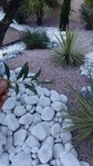 20180807_210107 b.jpg