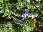 P1120120.JPG