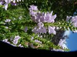 P1120147.JPG