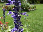 P1120170.JPG