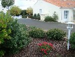 DSC00232 (1).JPG