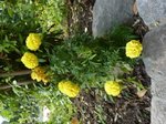 P1120130.JPG