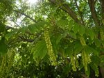 P1120177.JPG
