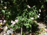 P1120181.JPG