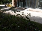P1120187.JPG