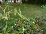 P1120189.JPG