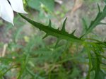 P1120201.JPG
