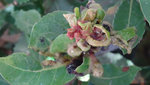 DSC00511.JPG