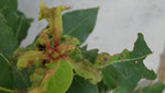 DSC00512.JPG