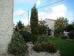 DSC00239R.jpg