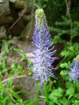 2015-05-19.jpeg