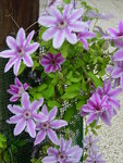 2015-05-24.jpeg