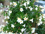 BILD1531.JPG