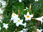 BILD1533.JPG