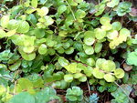 BILD1546.JPG