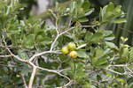 AV3I3595-2.jpg