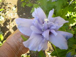 DSCN7768.JPG