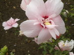DSCN7868.JPG