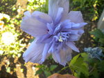 DSCN7777.JPG