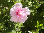 DSCN7785.JPG