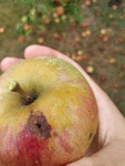 IMG_20180825_174139.gif