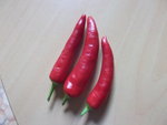 Piments-1.JPG