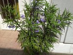 20180829_133554-min.jpg