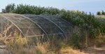 Volière dépassée en hauteur par les plantes