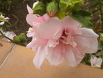 DSCN7867.JPG