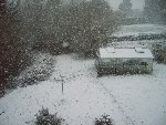 La neige à tombé hier, les vers vont se cachés au centre des lombricomposteurs.