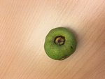 fruit2.jpg
