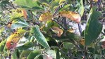 20180907_180618_resize.jpg