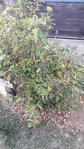 20180908_195155_resize.jpg