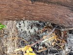 20180909_102922.jpg