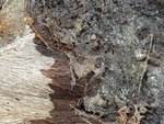 20180909_102919.jpg