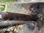 20180909_102901.jpg