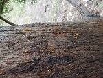 20180909_102841.jpg