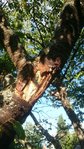 DSC_0136.JPG