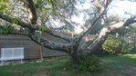 DSC_0137.JPG