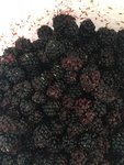 IMG-20180910-WA0004.jpg