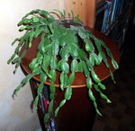 DSCF2539.JPG
