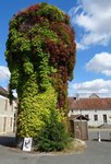 Chateau d'eau.JPG